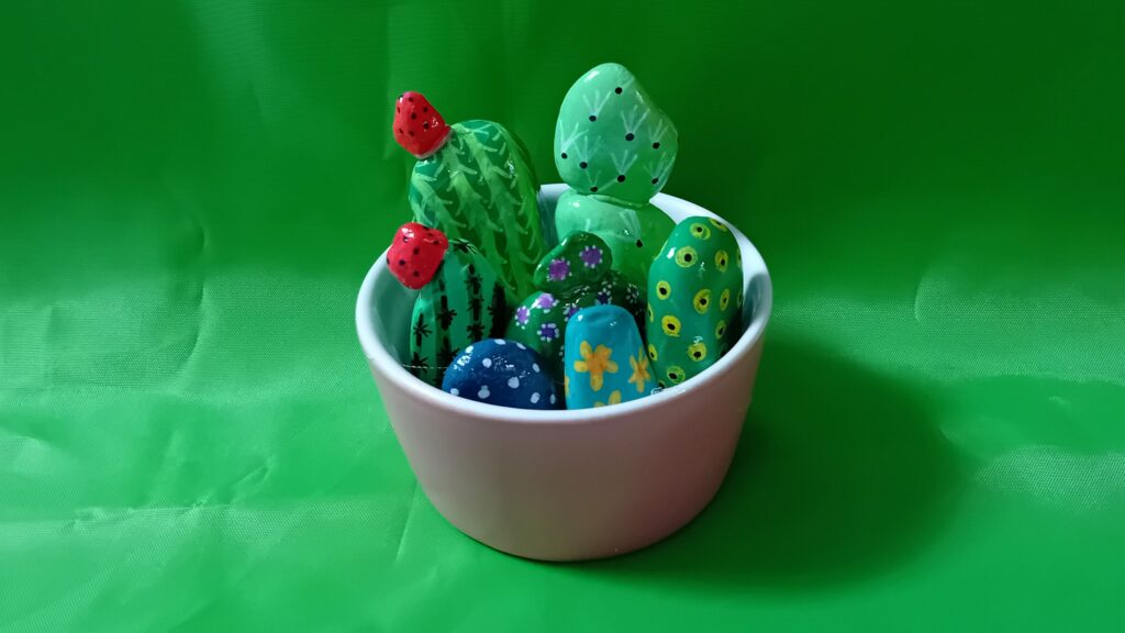 piantina grassa sassi dipinti a mano